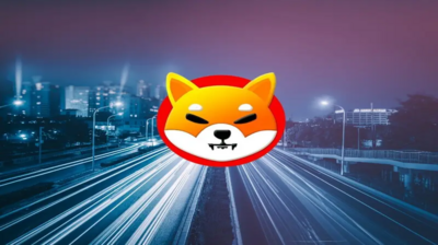 Shiba Inu Rose 91,000,000% Last Bull Run: Can It Surge the Same Again?