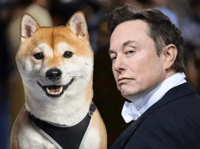 Musk's D.O.G.E Disaster: How $1K in Dogecoin (DOGE) Got Rekt