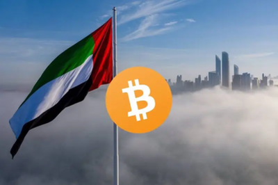 Abu Dhabi Reveals $408M Investment in BlackRock's Spot Bitcoin ETF
