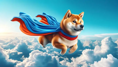 Shiba Inu Will Celebrate 5 Years in 2025: Will SHIB Finally Delete A Zero?