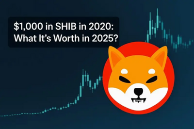 $1,000 in SHIB in 2020: What It's Worth in 2025