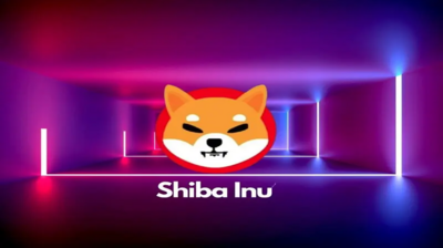 Shiba Inu: $1 Investment in 2020 is Worth This Much Today in 2025