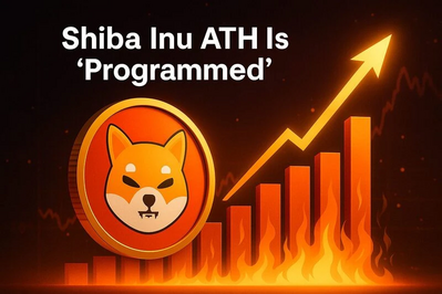 Shiba Inu ATH Is 'Programmed,' Says Strategist Amid Major Token Burns