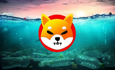 Losses in Shiba Inu If You Invested $2,000 One Year Ago