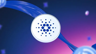 Cardano's Chain Hits 37M Users via Blockchain.com