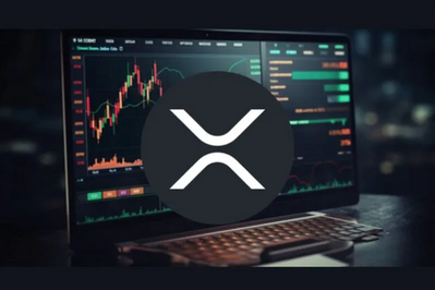 Ripple XRP May Have More Room For Growth Than Bitcoin: Here's Why