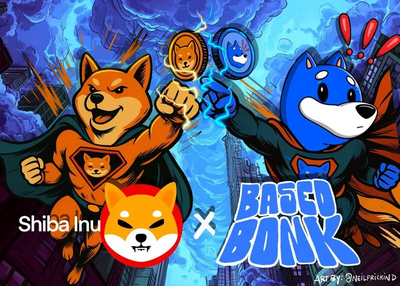 Should You Invest in Shiba Inu-themed 'Based Bonk' Cryptocurrency?