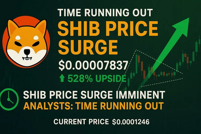 Time Running Out to Buy Shiba Inu Coin Before Price Surge