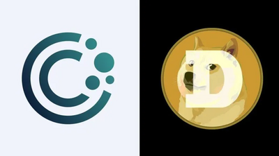 CleanCore Launches $175M Dogecoin Treasury
