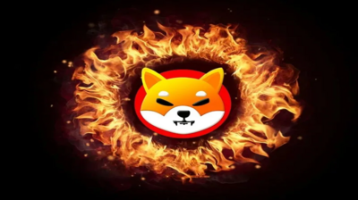 From Burns to Shibarium: 4 Reasons SHIB May Boom by 2026