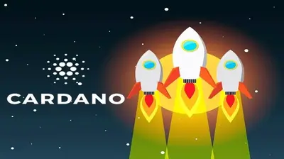 If You Buy Cardano (ADA), How Much Profit Can You Expect in October?