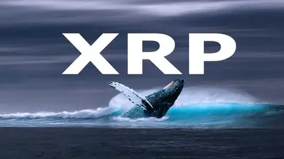 Traders & Whales Buy 30 Million XRP After Price Fell To $2.8