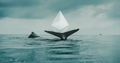 Mysterious Whale Buys 14,254 Ethereum, Spends $52.47 Million