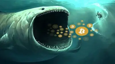 Bitcoin Whales Are Buying The Dip: $23 Billion in 30 Days