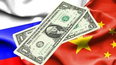 Exclusive: Russia Reveals BRICS Plan to Slash USD Use