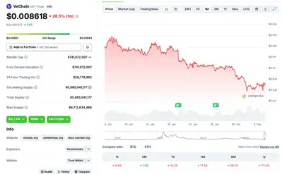 VeChain Gains Zero, Falls 97% From Peak: Is It At Its Bottom?