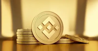 Can Binance's BNB Coin Hit $2000 In The Next Bull Run?