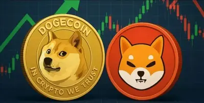 Crash Test: Is Shiba Inu or Dogecoin the Better Buy Right Now?