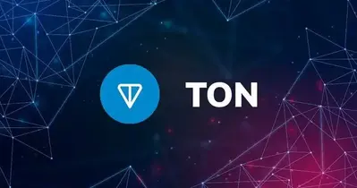 Whales Bet Big on Toncoin (TON) Price Dip: Relief Rally Incoming?