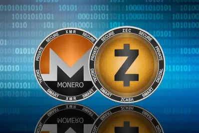 Privacy Cryptocurrencies Top Charts: Why ZEC And XMR Are Up?