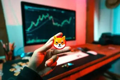 Shiba Inu Trading Activity Rises 42%, Investors Start To Buy the Dip