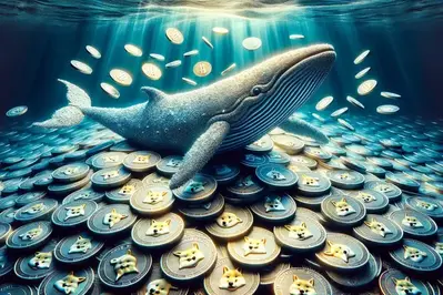 $245 Million Dogecoin Moved From Robinhood To Wallet: Bullish?