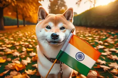 Shiba Inu To Rs.1: Here's The Timeline