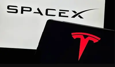 Cathie Wood Increases Tesla Position But Is SpaceX Better?